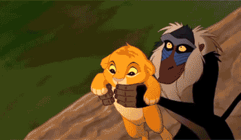 If Simba was just THROWN off Pride Rock like a piece of trash: | 17 Ways Disney Movie Scenes Could Have Gone Way, Way Worse