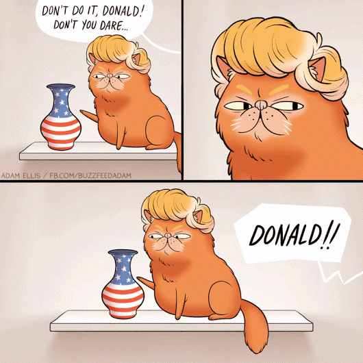 If Trump was a cat (gif