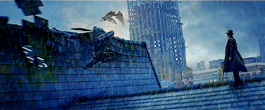Image result for frank the thunderbird rain