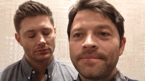 imperfectcas: “ I’M NOT OKAY (x ” MISHA LEANS INTO IT. HELP ME I’M DYING.