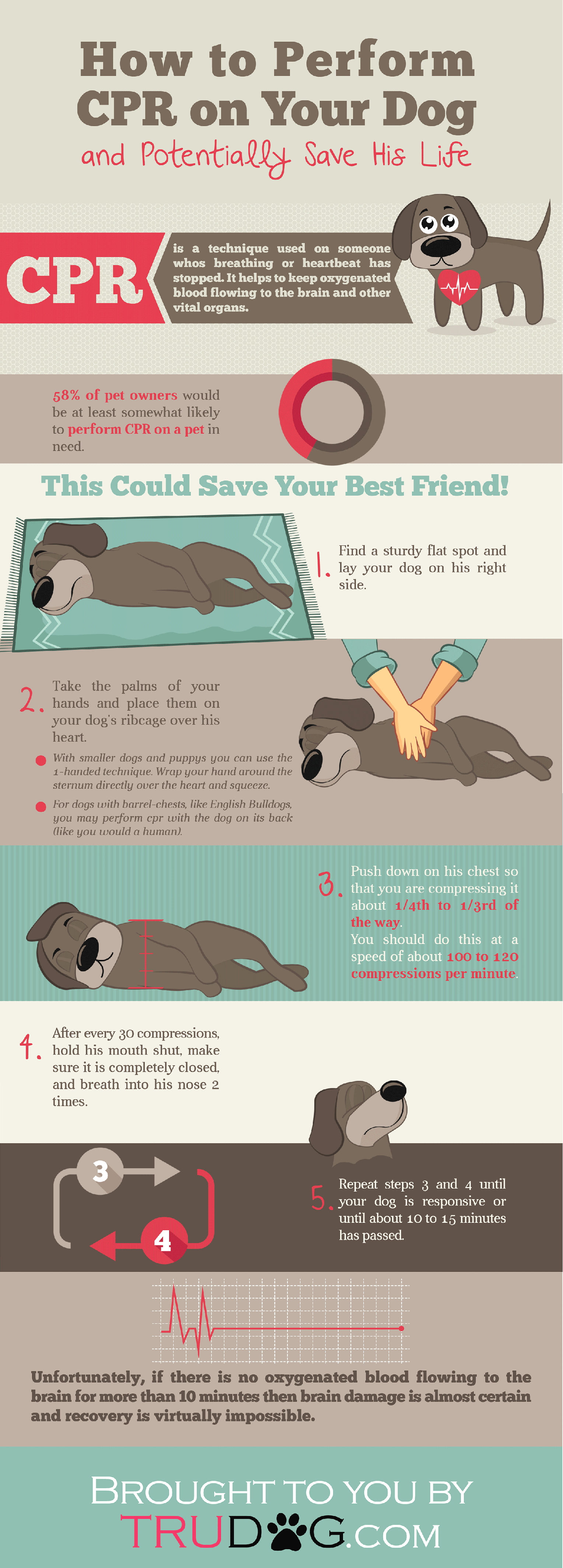 [Infographic] How to Perform CPR on Your Dog