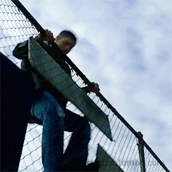 IT'S THE FREAKING FLIP-OVER-THE-FENCE-THAT-MADE-ME-FALL-IN-LOVE GIF!