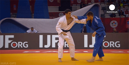 Judo gifs Martial Arts Probs