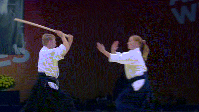 martial arts gifs The History of Fighting