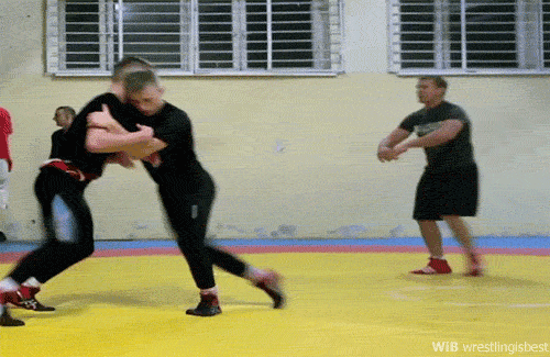 Martial Arts Probs