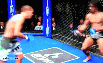 MMA flying Matrix kick | Best Funny Gifs and Animated Gifs Updated Daily - Gif Bin