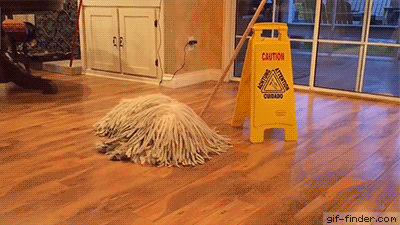Mop Dog | Gif Finder – Find and Share funny animated gifs