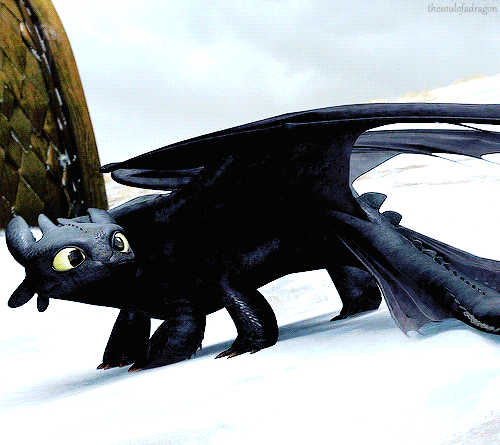 my gifs httyd toothless httyd gifs GOTNF httydedit 4000 notes dreamworksedit thehiccupnetwork i managed to fit in so many frames ahhh 40 i think