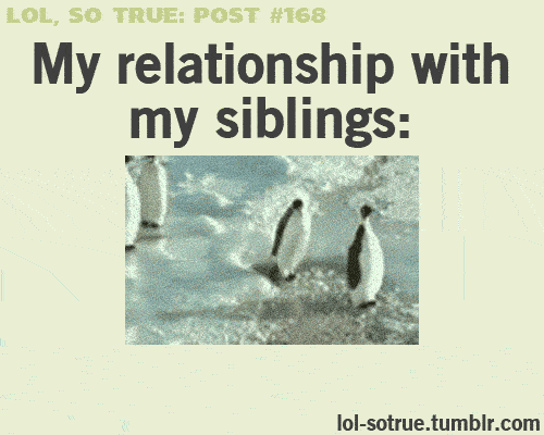 My relationships with my siblings. Hahaha, so true! (click through for the animation