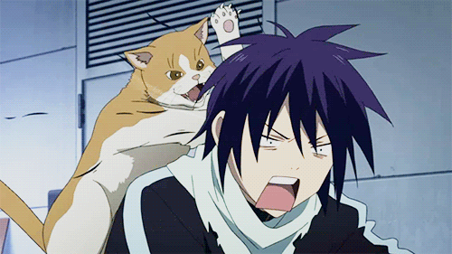 Noragami--I'm fairly sure that's Yato's fluffy fluffy scarf right? ;