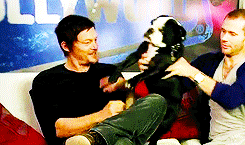 Norman Reedus is handed a dog and is genuinely the happiest person in the whole world // this is why we love him