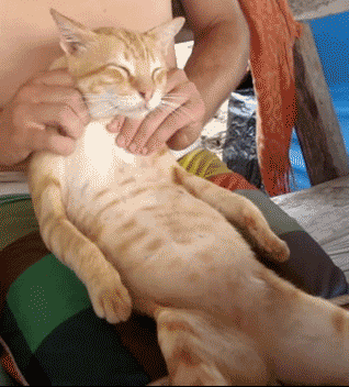Oh yeah, that’s the spot…GIF
