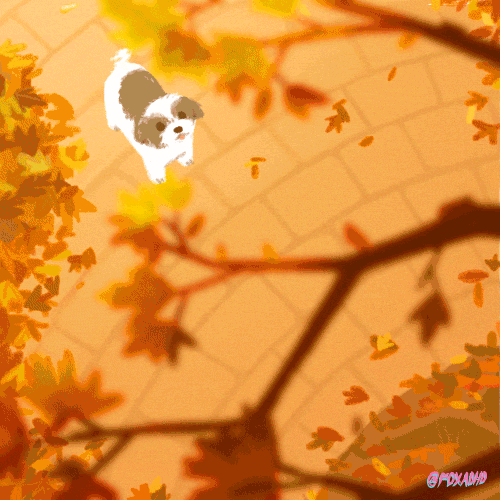 Olivia Huynh  Happy Autumn!  If you're not excited about autumn you can leaf.