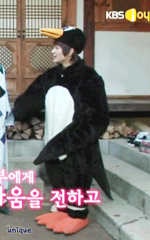 Onew (SHINee dressed like a penguin/swallow in 
