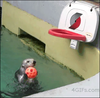 Otters make me happy