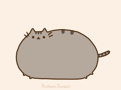 Pusheen cat, you are adorable. Click the photo!!