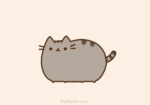 Pusheen, die süßeste Katze der Welt - Designblog Don't kill my vibe