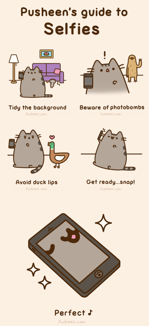 Pusheen the Cat's guide to selfies [GIF]