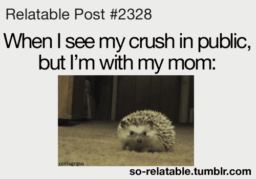 relatable gifs | Funny Relatable Posts About Crushes