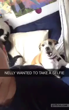 Selfie con el perro 