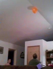 Share this Baby Balloon Grab Animated GIF with everyone. Gif4Share is best source of Funny GIFs, Cats GIFs, Reactions GIFs to Share on social networks and chat.