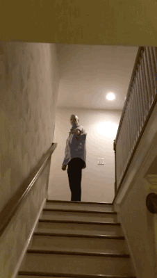 Share this Pet Flying Squirrel Gliding Down Stairs in Slow Motion Animated GIF with everyone. Gif4Share is best source of Funny GIFs, Cats GIFs, Reactions GIFs to Share on social networks and chat.