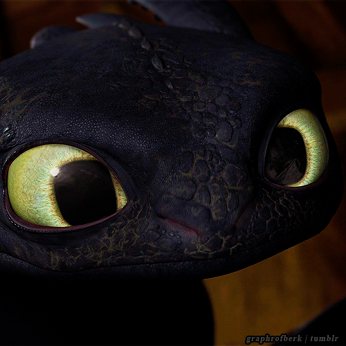simptasia:  ascandalingalllifrey:  sunsetofdoom:  tarch-7:  Toothless is so cute here.  THE DETAILS HIS NOSTRILS ARE PINK ON THE INSIDES YOU...