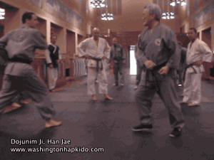 Sinmoo Hapkido Kick Defense with Dojunim Ji, Han Jae  Martial arts gifs