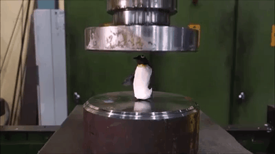 Squeeze 1000kg on a plastic penguin