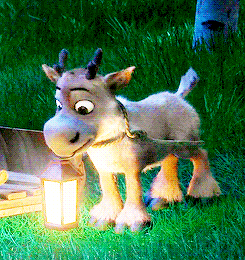Sven (gif hehe i love that little tail!