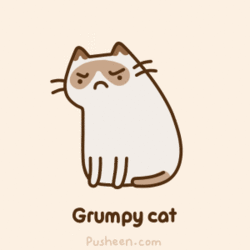 Tard grumpy cat GIF by Pusheen (source in comments - Imgur