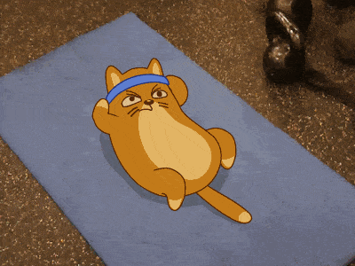 Teodor The Cat is working out at the gym in a desperate attempt to lose some weight. Follow him on Instagram to support or make fun... whatever your heart tells you to do.