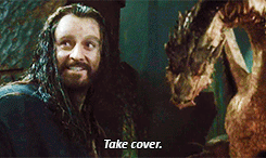 The Hobbit: The Desolation of Smaug (gif <--- looks like Biblo figured it out first with his 