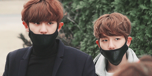 their height difference is the most adorable thing ever, THIS IS SO PERFECT, BAEKYEOL. MEANT. TO. BE.