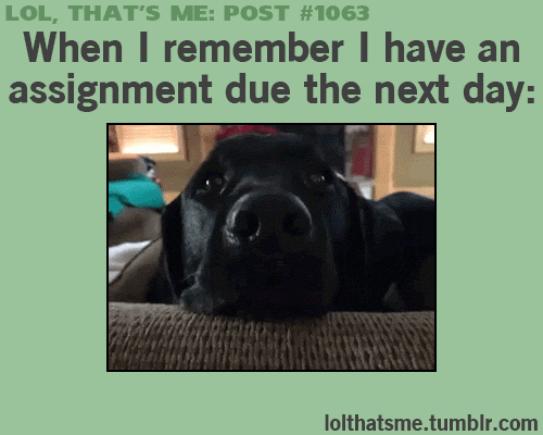 These Adorably Dramatic Dogs Have Mastered The Art Of The Guilt Trip. Prepare To…