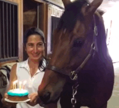 This horse is having the best birthday ever