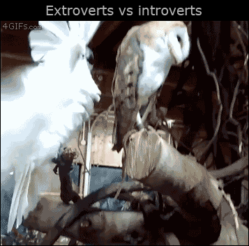 This is me and someone I know who's an extrovert. Lol!