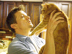 This is one of the best things I've seen all day. Jeremy Renner kissing a cat.  Cats With Famous People