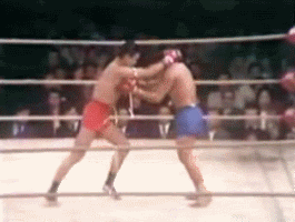 This Might Be The Nastiest KO In Combat Sports History (Gif Replay