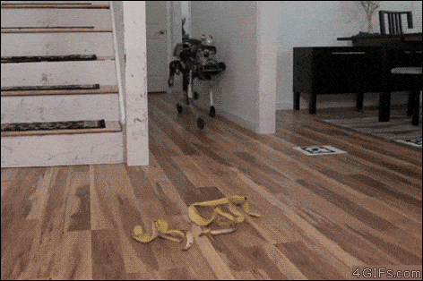 This week's best GIFs were programmed to be hilarious.