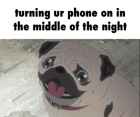 turning ur phone on in the middle of the night GIF