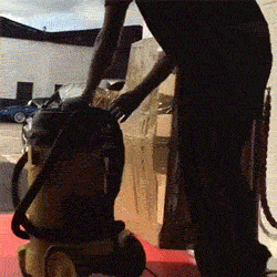 Well, that was unexpected – 16 GIFs