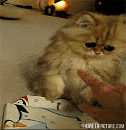 What do you mean this gift is not for me? But...Who else would it be for? (GIF