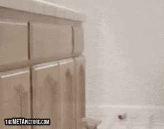 What is this Scooby Doo magic? GIF Click to see the Cuteness