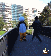 Where The Giant Panda Lives Funny Gif #9311 - Funny Panda Gifs| Funny Gifs| Panda Gifs