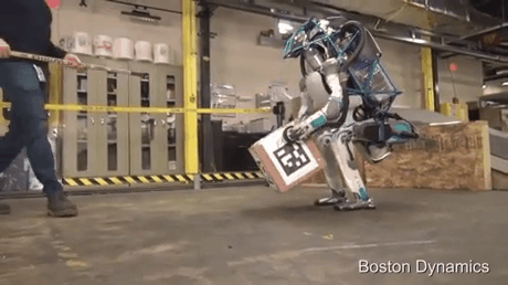 The robot carries the box and is knocked over