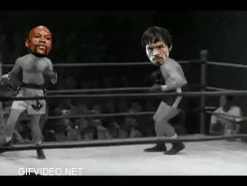 Summary of the Mayweather/Pacquiao fight (gif)