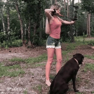 That's one well trained doggo!