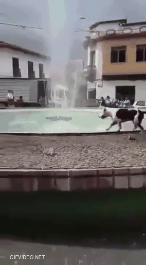 This boy loves jumping in the fountain