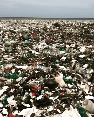 Waves of trash off the coast of Santo Domingo in the Dominican Republic